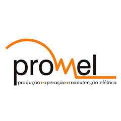 PRlogo_BRANCO – Promel